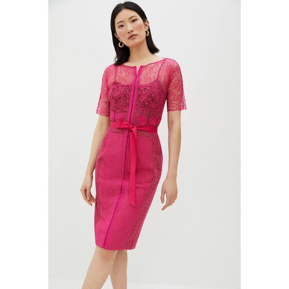 Anthropologie Byron Lars Carissima Sheath Dress-Pink size 2